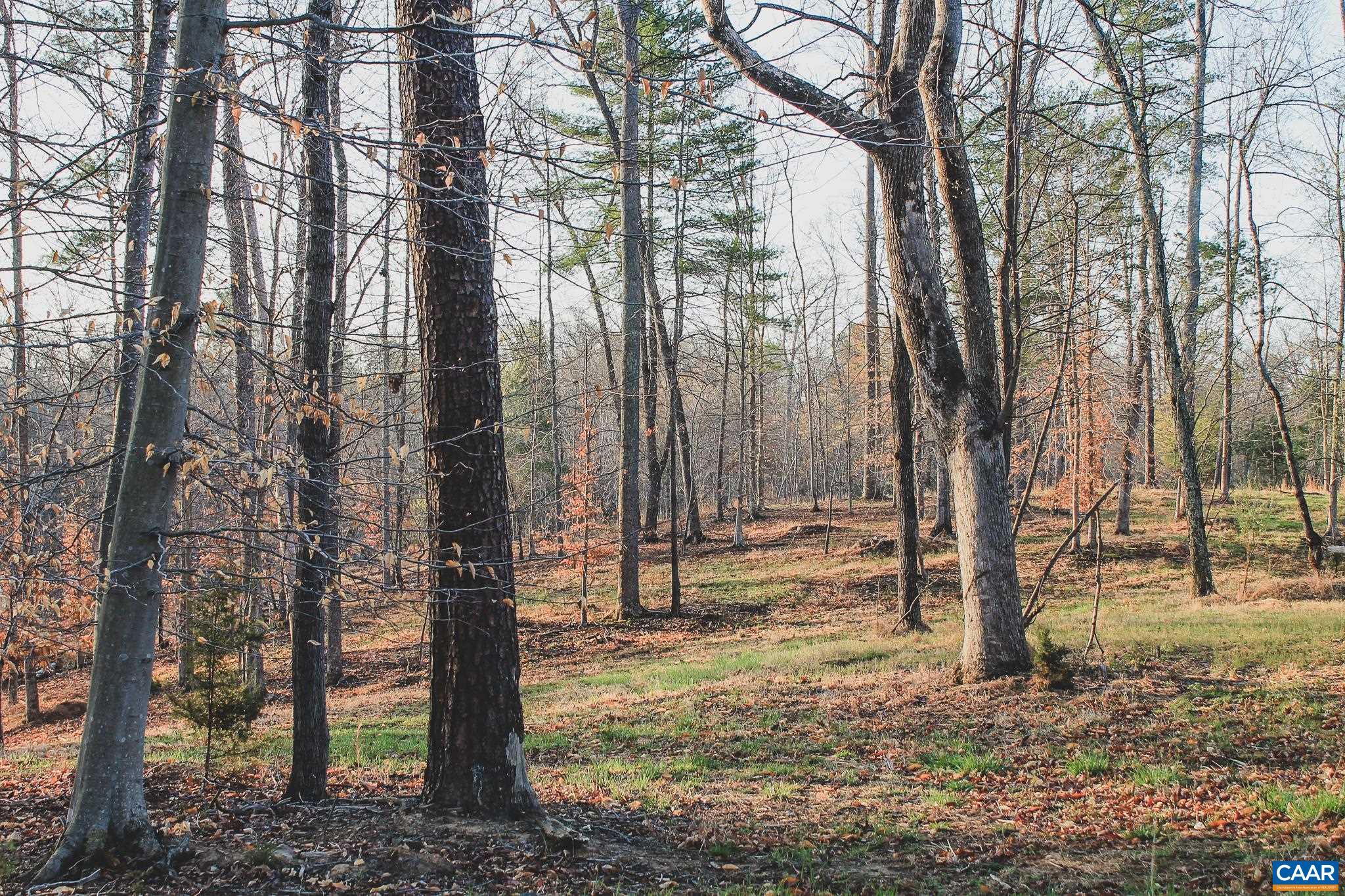 42 SHADWELL RD, KESWICK, Virginia 22947, ,Land,42 Acres in Keswick on Private Lake,42 SHADWELL RD,675338 MLS # 675338