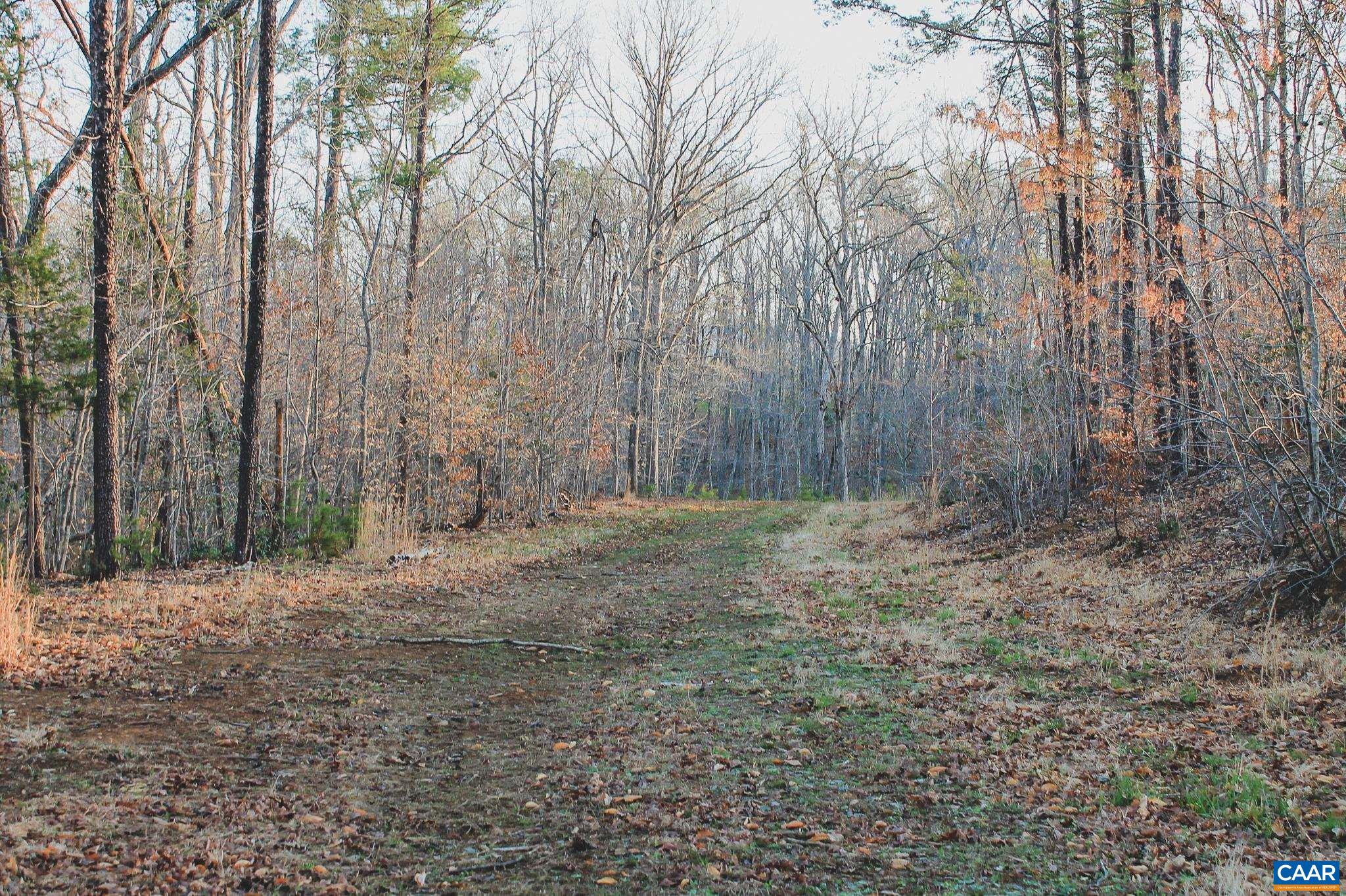 42 SHADWELL RD, KESWICK, Virginia 22947, ,Land,42 Acres in Keswick on Private Lake,42 SHADWELL RD,675338 MLS # 675338