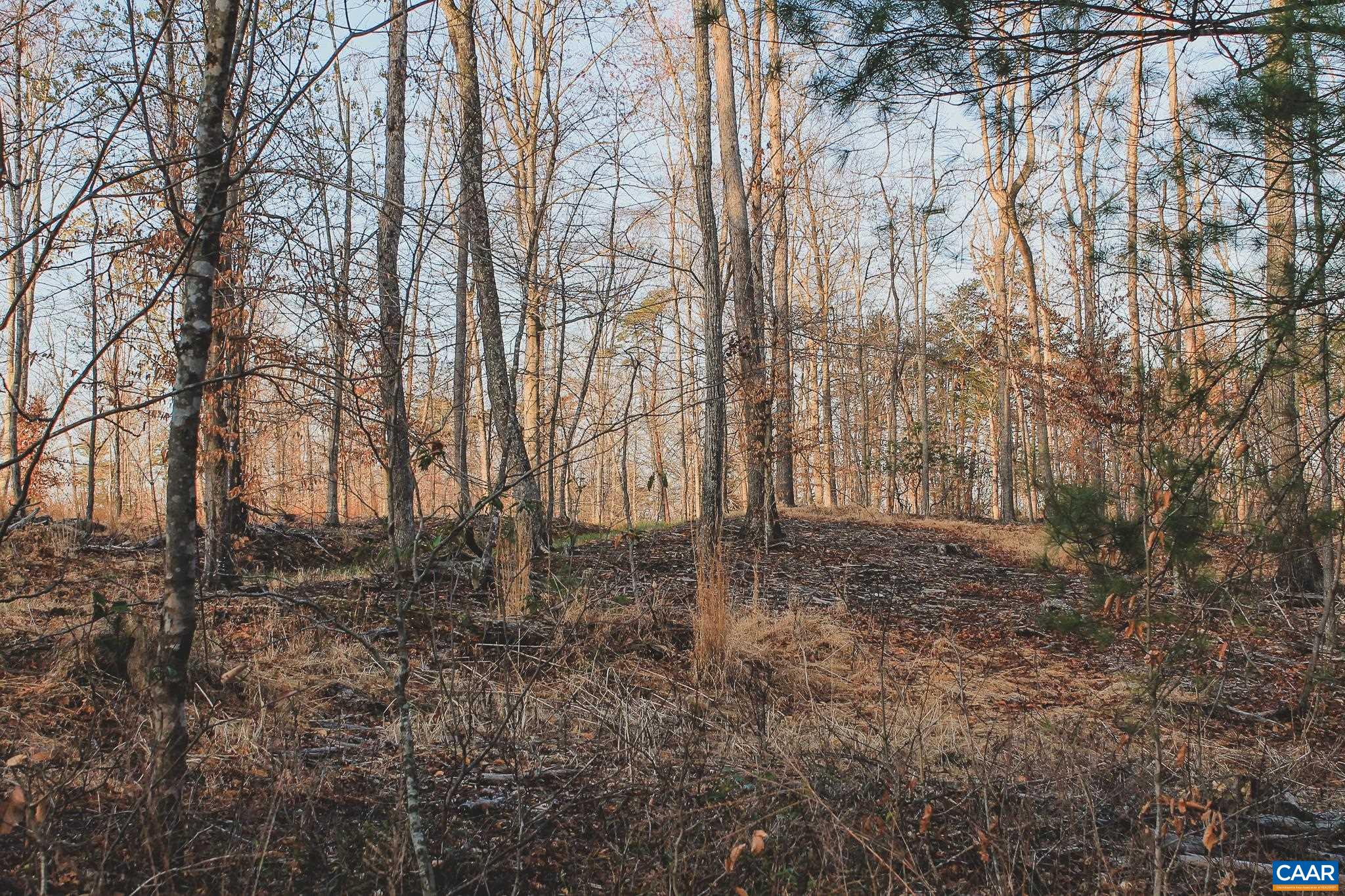 42 SHADWELL RD, KESWICK, Virginia 22947, ,Land,42 Acres in Keswick on Private Lake,42 SHADWELL RD,675338 MLS # 675338