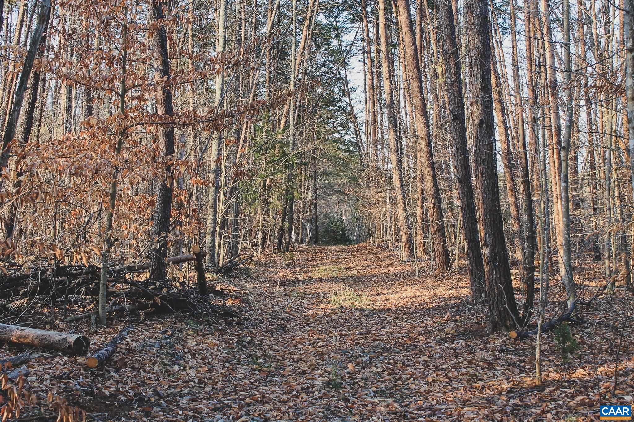 42 SHADWELL RD, KESWICK, Virginia 22947, ,Land,42 Acres in Keswick on Private Lake,42 SHADWELL RD,675338 MLS # 675338