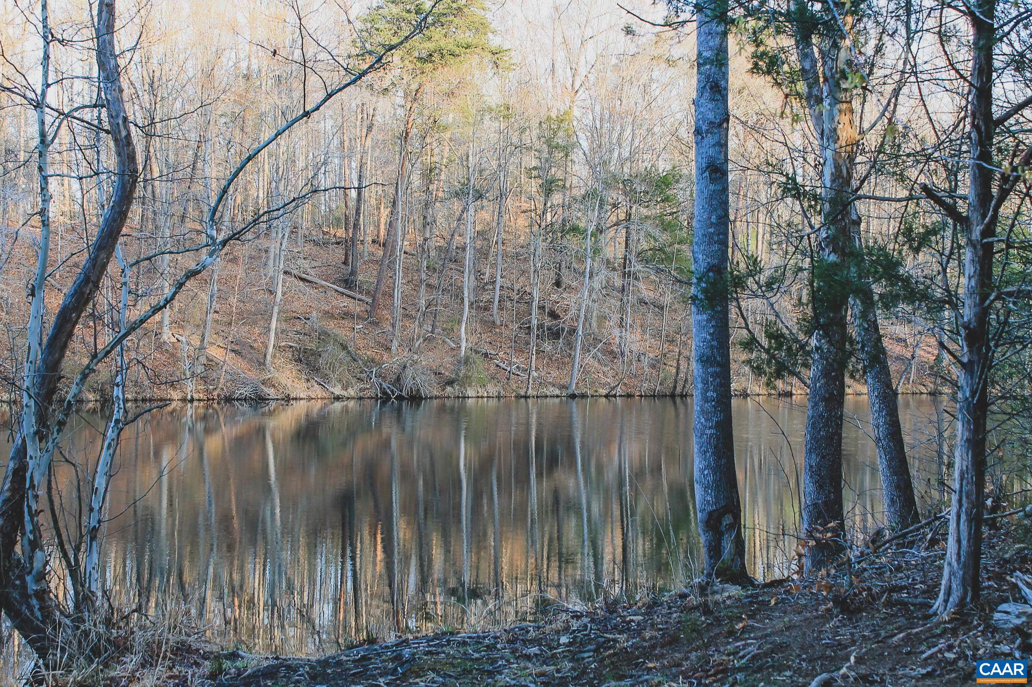 42 SHADWELL RD, KESWICK, Virginia 22947, ,Land,42 Acres in Keswick on Private Lake,42 SHADWELL RD,675338 MLS # 675338