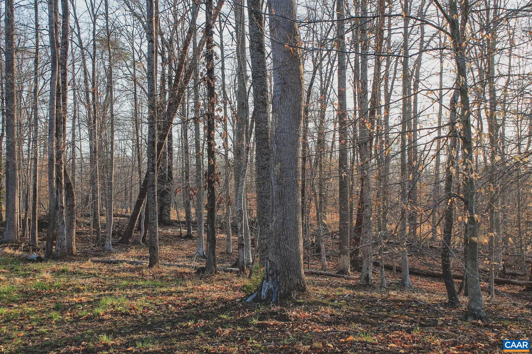 42 SHADWELL RD, KESWICK, Virginia 22947, ,Land,42 Acres in Keswick on Private Lake,42 SHADWELL RD,675338 MLS # 675338