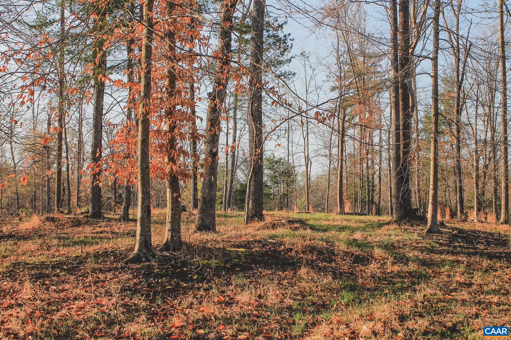 42 SHADWELL RD, KESWICK, Virginia 22947, ,Land,42 Acres in Keswick on Private Lake,42 SHADWELL RD,675338 MLS # 675338