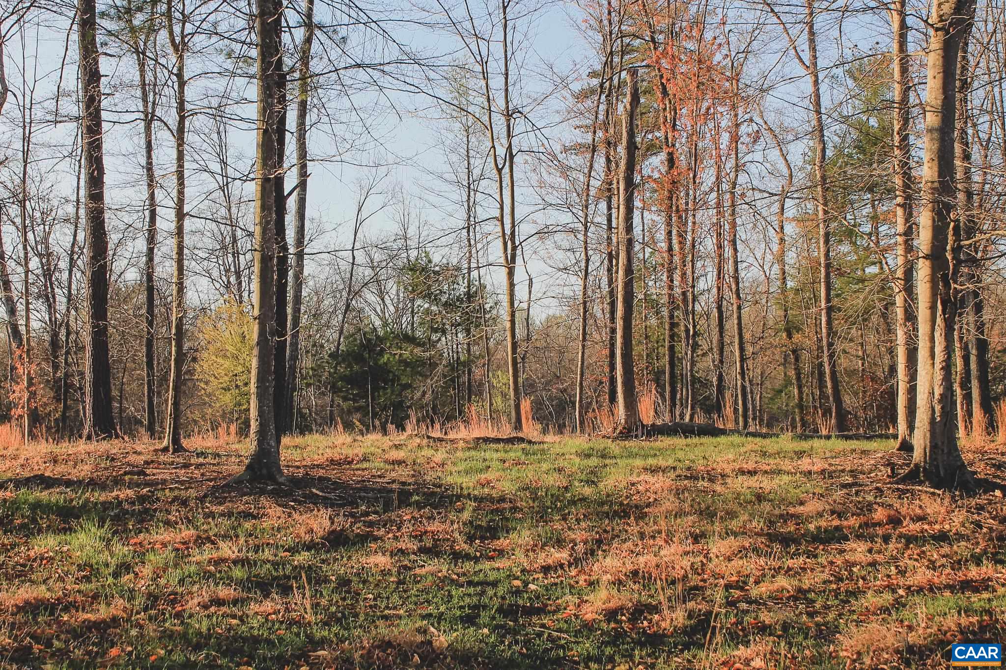 42 SHADWELL RD, KESWICK, Virginia 22947, ,Land,42 Acres in Keswick on Private Lake,42 SHADWELL RD,675338 MLS # 675338