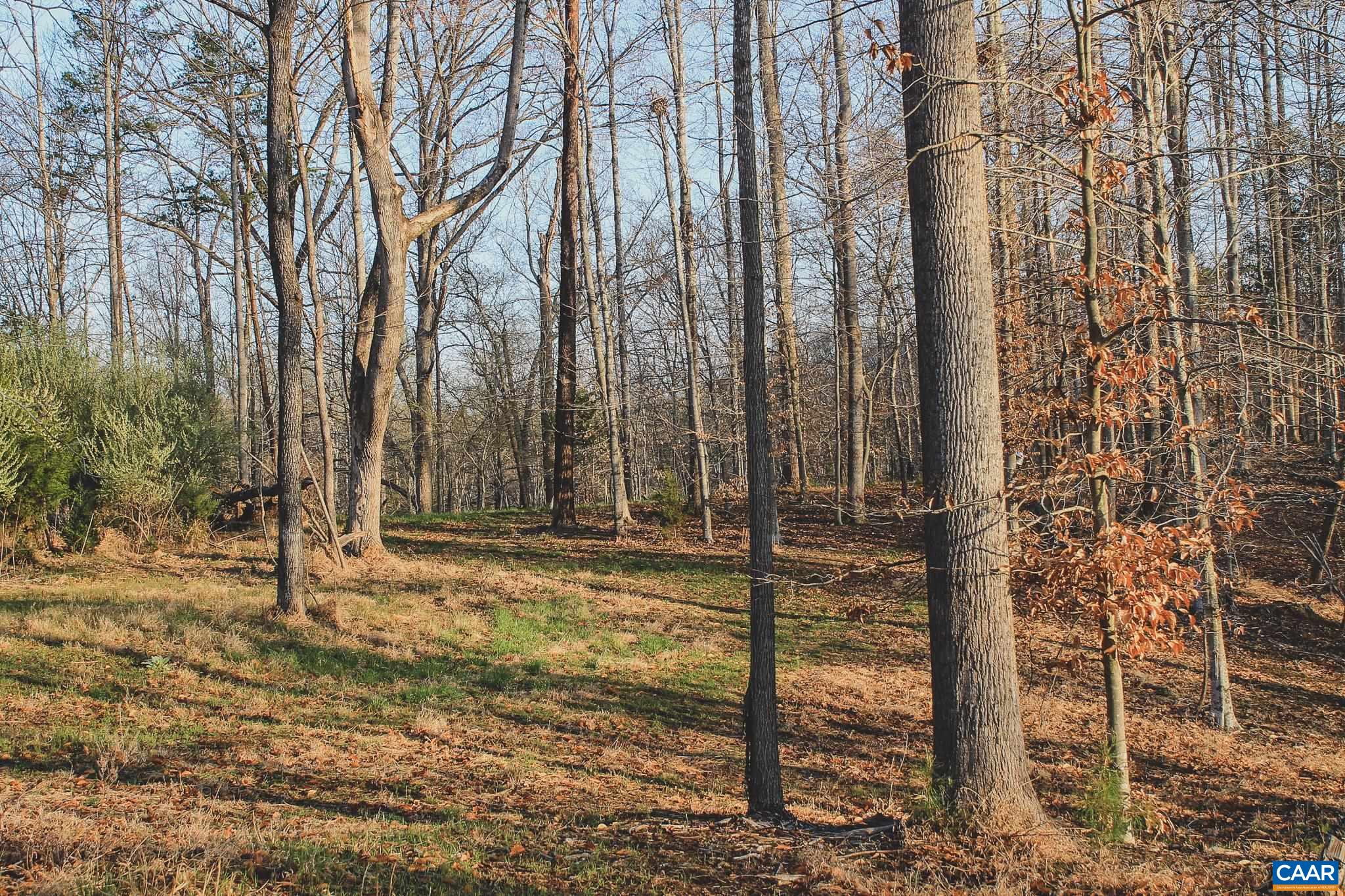 42 SHADWELL RD, KESWICK, Virginia 22947, ,Land,42 Acres in Keswick on Private Lake,42 SHADWELL RD,675338 MLS # 675338