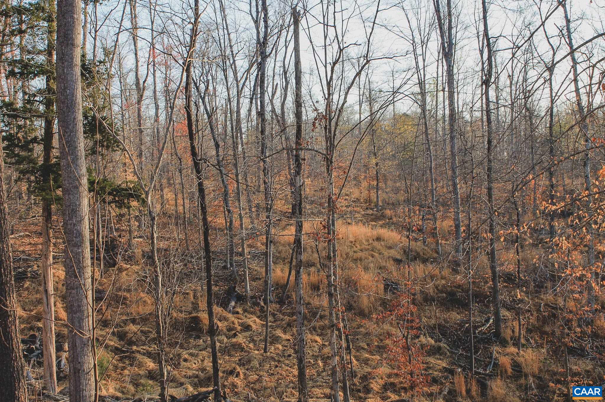 42 SHADWELL RD, KESWICK, Virginia 22947, ,Land,42 Acres in Keswick on Private Lake,42 SHADWELL RD,675338 MLS # 675338