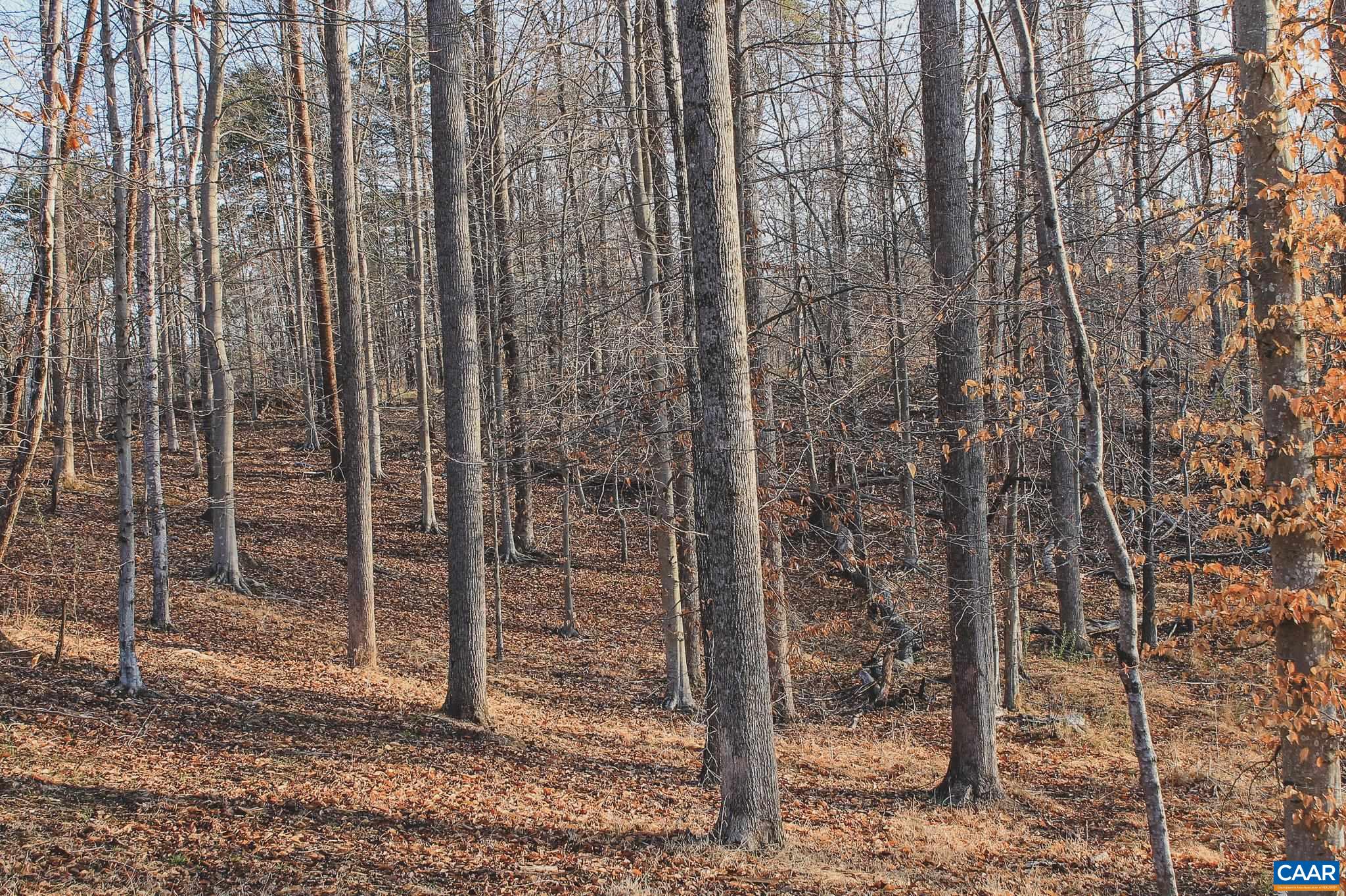 42 SHADWELL RD, KESWICK, Virginia 22947, ,Land,42 Acres in Keswick on Private Lake,42 SHADWELL RD,675338 MLS # 675338