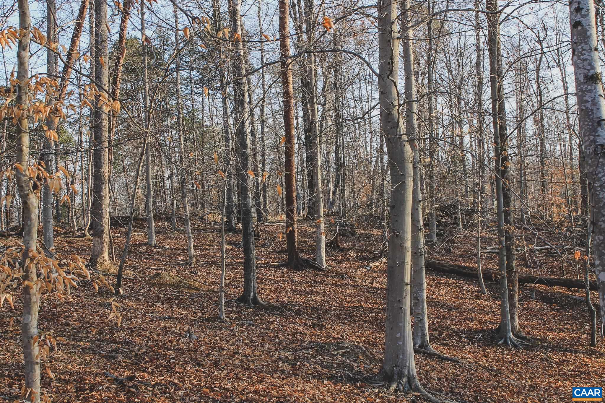 42 SHADWELL RD, KESWICK, Virginia 22947, ,Land,42 Acres in Keswick on Private Lake,42 SHADWELL RD,675338 MLS # 675338