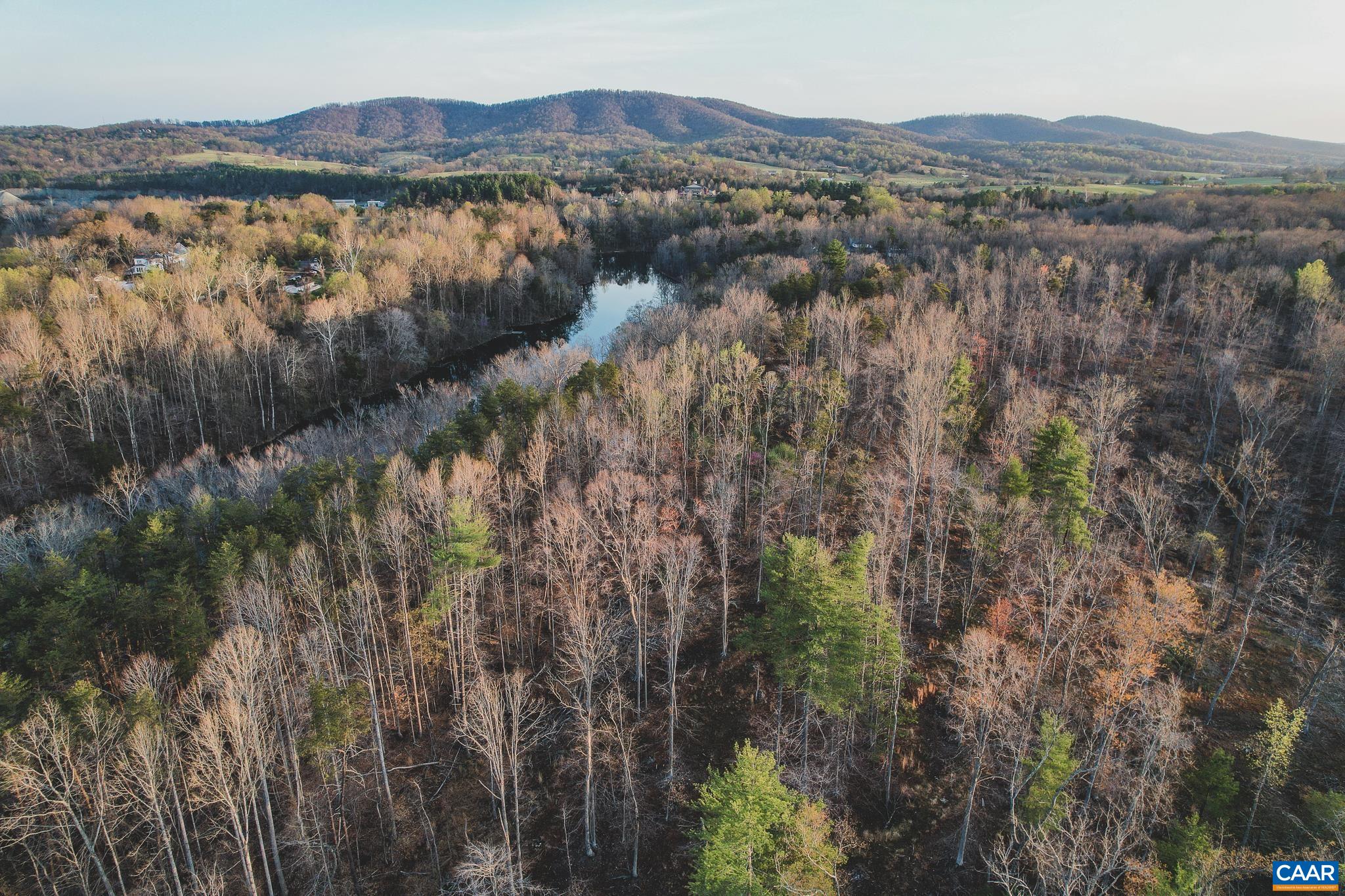 42 SHADWELL RD, KESWICK, Virginia 22947, ,Land,42 Acres in Keswick on Private Lake,42 SHADWELL RD,675338 MLS # 675338