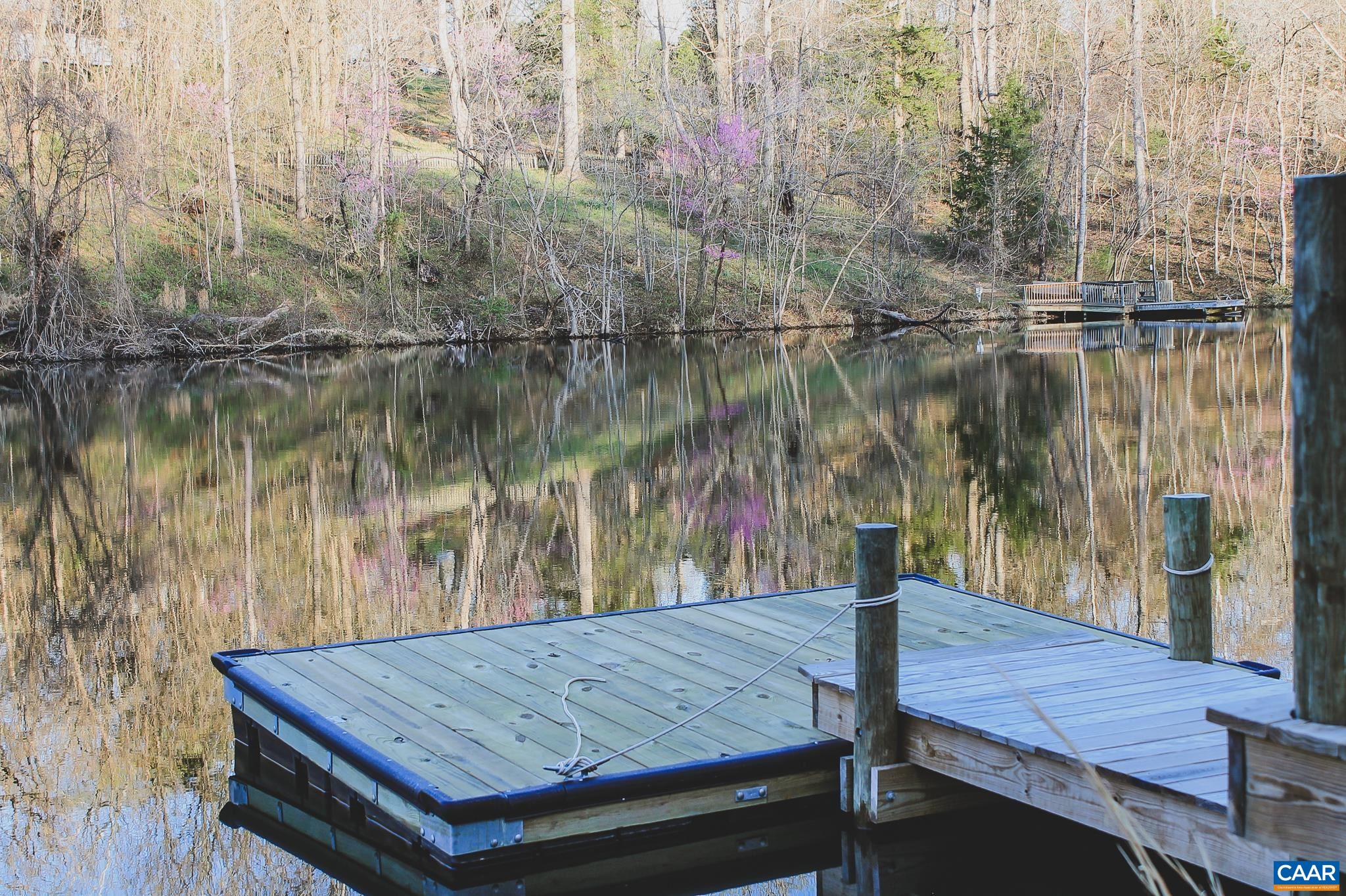 42 SHADWELL RD, KESWICK, Virginia 22947, ,Land,42 Acres in Keswick on Private Lake,42 SHADWELL RD,675338 MLS # 675338