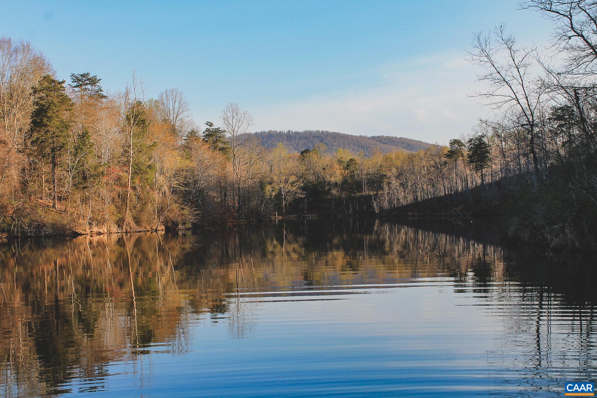 42 SHADWELL RD, KESWICK, Virginia 22947, ,Land,42 Acres in Keswick on Private Lake,42 SHADWELL RD,675338 MLS # 675338