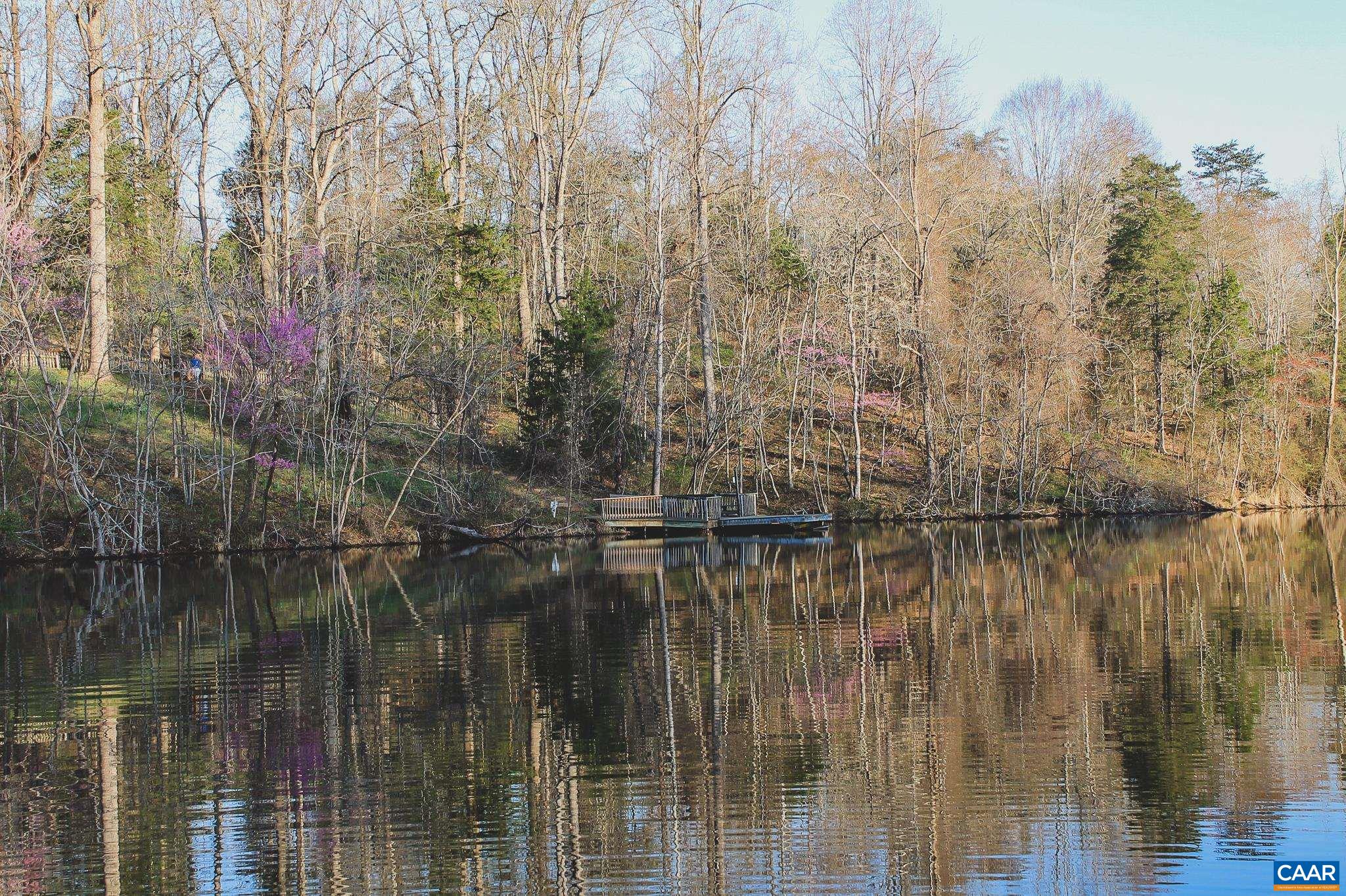 42 SHADWELL RD, KESWICK, Virginia 22947, ,Land,42 Acres in Keswick on Private Lake,42 SHADWELL RD,675338 MLS # 675338