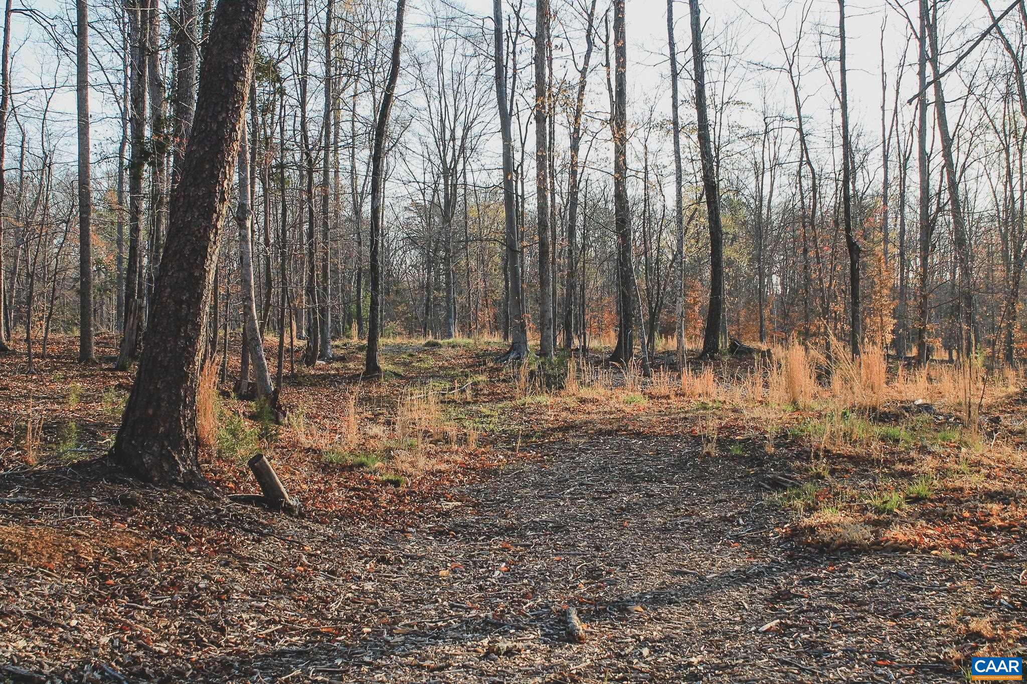 42 SHADWELL RD, KESWICK, Virginia 22947, ,Land,42 Acres in Keswick on Private Lake,42 SHADWELL RD,675338 MLS # 675338