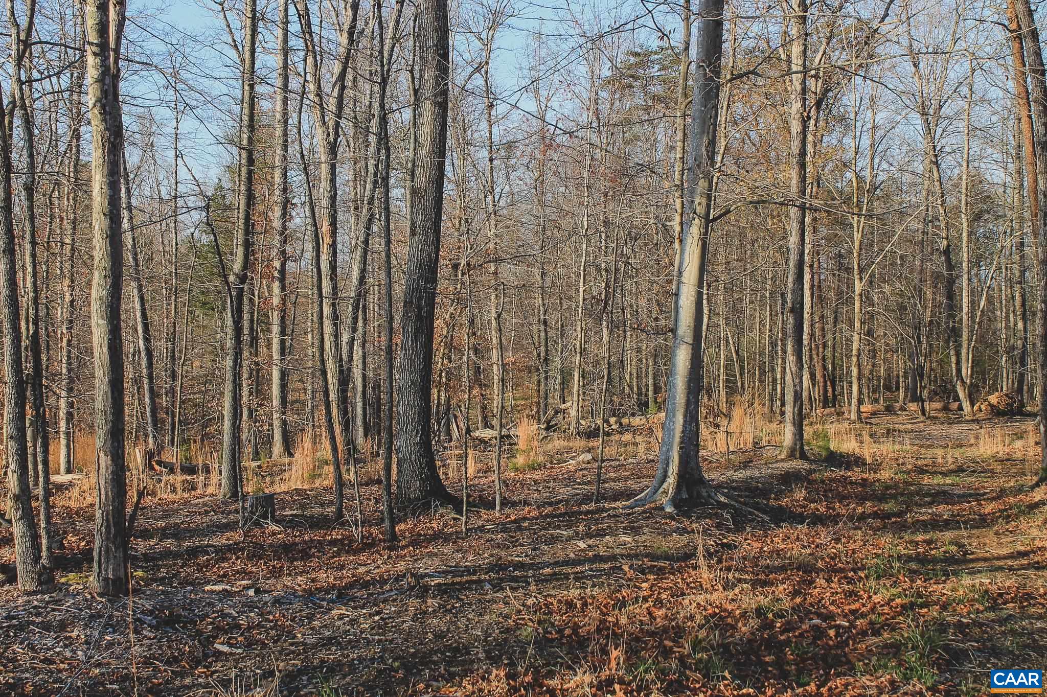 42 SHADWELL RD, KESWICK, Virginia 22947, ,Land,42 Acres in Keswick on Private Lake,42 SHADWELL RD,675338 MLS # 675338