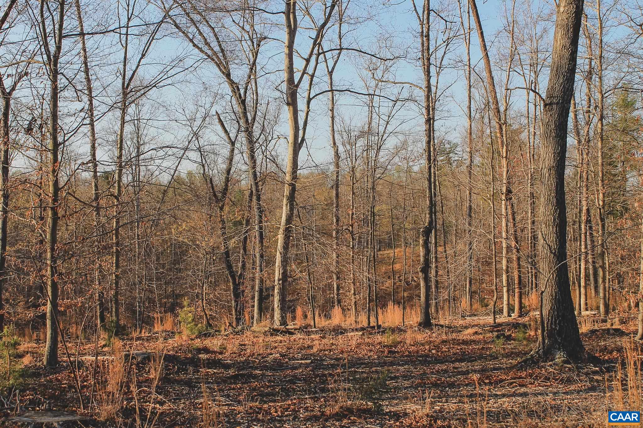 42 SHADWELL RD, KESWICK, Virginia 22947, ,Land,42 Acres in Keswick on Private Lake,42 SHADWELL RD,675338 MLS # 675338