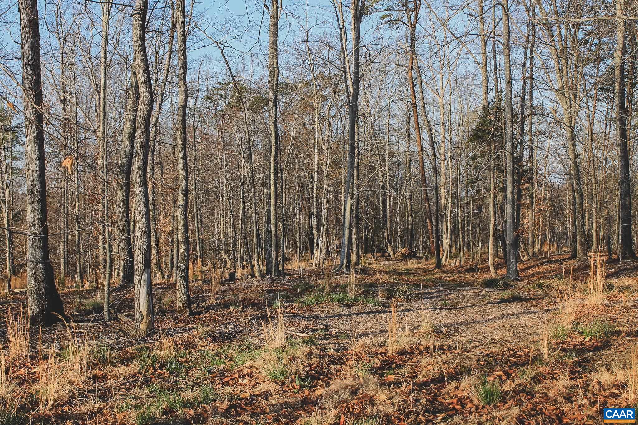 42 SHADWELL RD, KESWICK, Virginia 22947, ,Land,42 Acres in Keswick on Private Lake,42 SHADWELL RD,675338 MLS # 675338