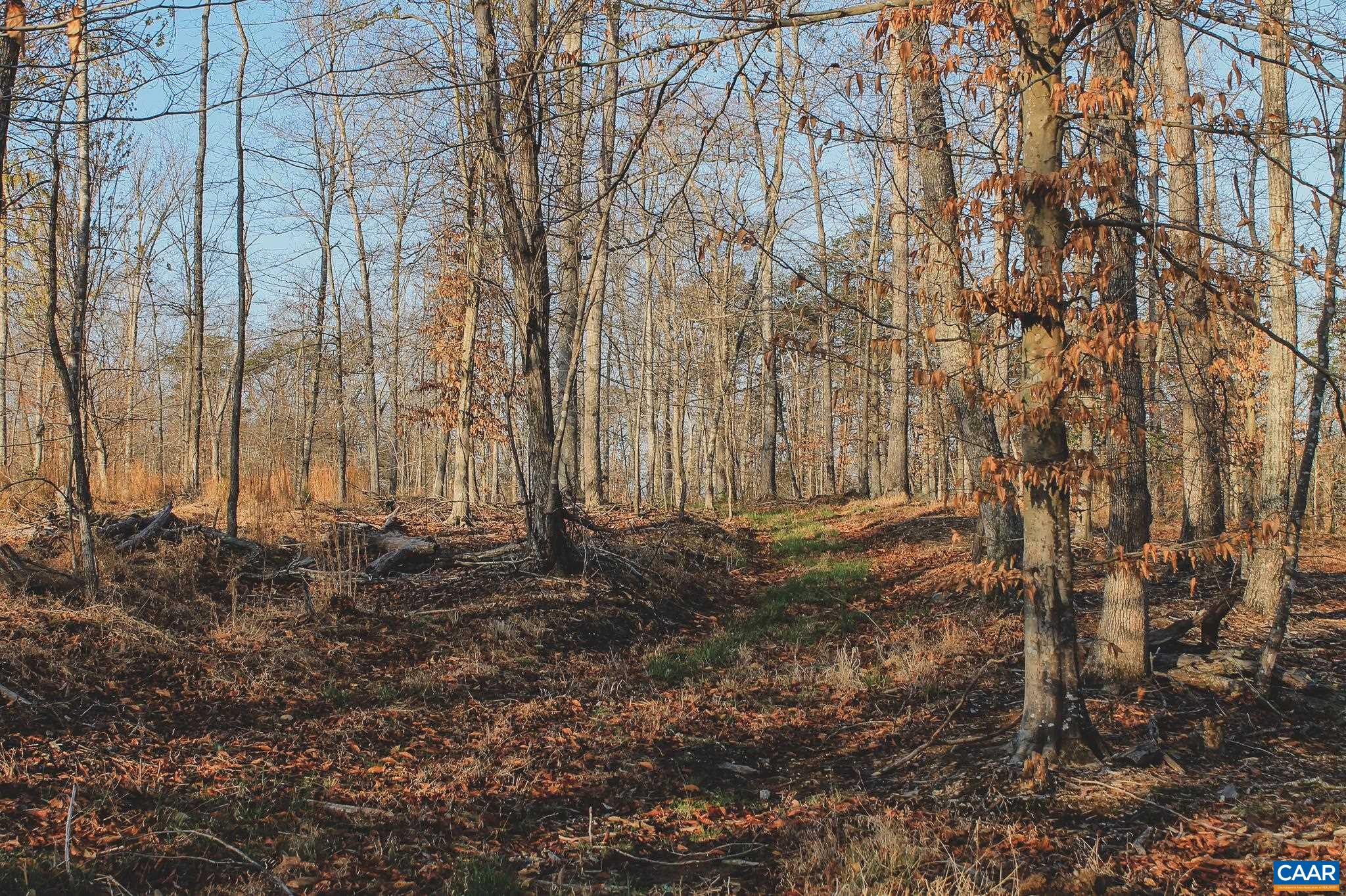 42 SHADWELL RD, KESWICK, Virginia 22947, ,Land,42 Acres in Keswick on Private Lake,42 SHADWELL RD,675338 MLS # 675338