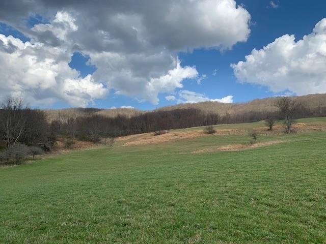 TBD BIG VALLEY RD, MONTEREY, Virginia 24465, ,Farm,99.3 Acres Big Valley Rd,TBD BIG VALLEY RD,675342 MLS # 675342