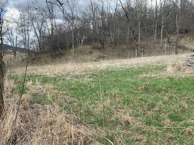 TBD BIG VALLEY RD, MONTEREY, Virginia 24465, ,Farm,99.3 Acres Big Valley Rd,TBD BIG VALLEY RD,675342 MLS # 675342