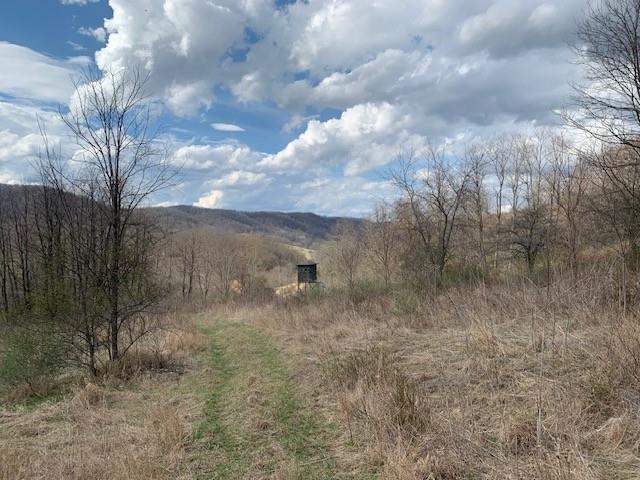 TBD BIG VALLEY RD, MONTEREY, Virginia 24465, ,Farm,99.3 Acres Big Valley Rd,TBD BIG VALLEY RD,675342 MLS # 675342