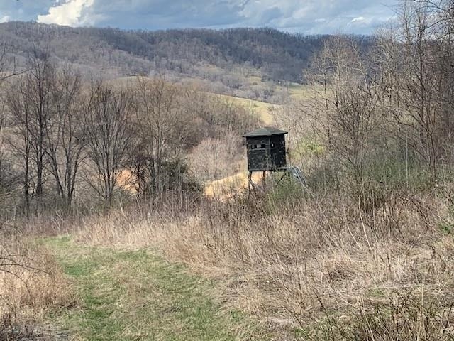 TBD BIG VALLEY RD, MONTEREY, Virginia 24465, ,Farm,99.3 Acres Big Valley Rd,TBD BIG VALLEY RD,675342 MLS # 675342