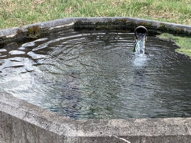 TBD BIG VALLEY RD, MONTEREY, Virginia 24465, ,Farm,99.3 Acres Big Valley Rd,TBD BIG VALLEY RD,675342 MLS # 675342