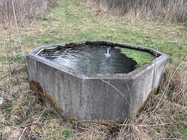 TBD BIG VALLEY RD, MONTEREY, Virginia 24465, ,Farm,99.3 Acres Big Valley Rd,TBD BIG VALLEY RD,675342 MLS # 675342