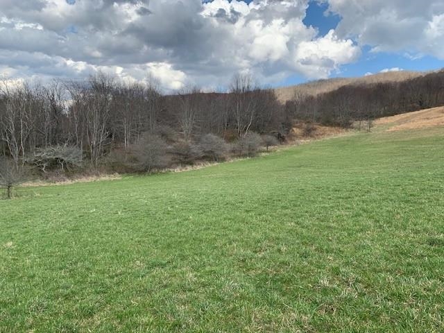 TBD BIG VALLEY RD, MONTEREY, Virginia 24465, ,Farm,99.3 Acres Big Valley Rd,TBD BIG VALLEY RD,675342 MLS # 675342