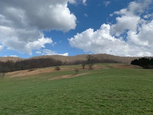 TBD BIG VALLEY RD, MONTEREY, Virginia 24465, ,Farm,99.3 Acres Big Valley Rd,TBD BIG VALLEY RD,675342 MLS # 675342