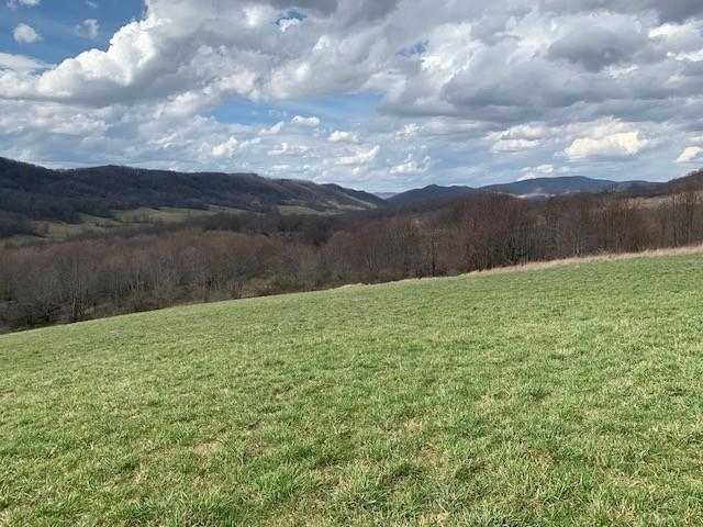 TBD BIG VALLEY RD, MONTEREY, Virginia 24465, ,Farm,99.3 Acres Big Valley Rd,TBD BIG VALLEY RD,675342 MLS # 675342
