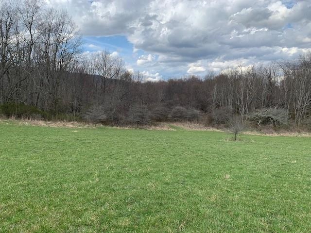 TBD BIG VALLEY RD, MONTEREY, Virginia 24465, ,Farm,99.3 Acres Big Valley Rd,TBD BIG VALLEY RD,675342 MLS # 675342