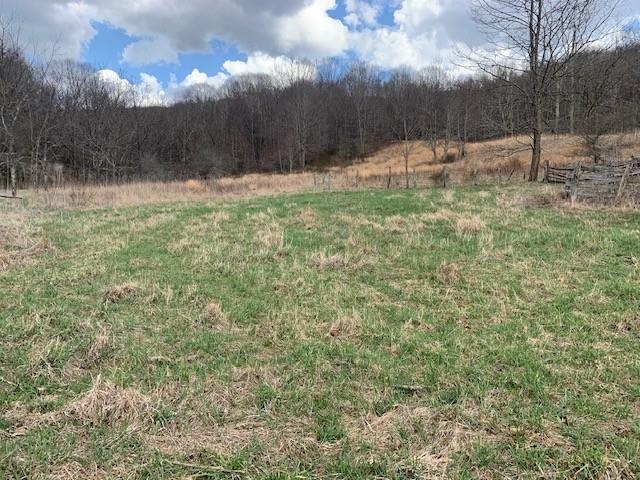 TBD BIG VALLEY RD, MONTEREY, Virginia 24465, ,Farm,99.3 Acres Big Valley Rd,TBD BIG VALLEY RD,675342 MLS # 675342