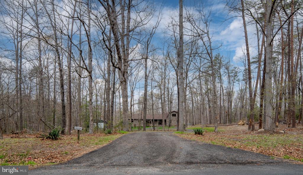 13220 SILLAMON RD, GOLDVEIN, Virginia, 5 Bedrooms Bedrooms, ,4 BathroomsBathrooms,Residential,13220 SILLAMON RD,VAFQ2021298 MLS # VAFQ2021298 13220 SILLAMON RD, GOLDVEIN, Virginia, 5 Bedrooms Bedrooms, ,4 BathroomsBathrooms,Residential,13220 SILLAMON RD,VAFQ2021298 MLS # VAFQ2021298