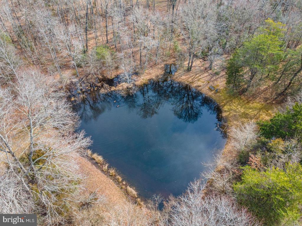 13220 SILLAMON RD, GOLDVEIN, Virginia, 5 Bedrooms Bedrooms, ,4 BathroomsBathrooms,Residential,13220 SILLAMON RD,VAFQ2021298 MLS # VAFQ2021298 13220 SILLAMON RD, GOLDVEIN, Virginia, 5 Bedrooms Bedrooms, ,4 BathroomsBathrooms,Residential,13220 SILLAMON RD,VAFQ2021298 MLS # VAFQ2021298