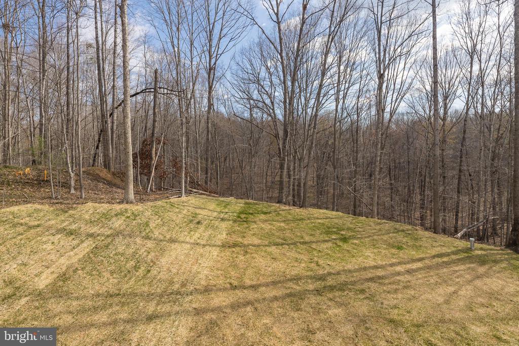 11117 EGGBORNSVILLE RD, RIXEYVILLE, Virginia 22737, 4 Bedrooms Bedrooms, ,3 BathroomsBathrooms,Residential,11117 EGGBORNSVILLE RD,VACU2013220 MLS # VACU2013220