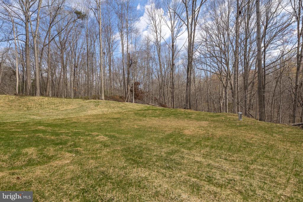 11117 EGGBORNSVILLE RD, RIXEYVILLE, Virginia 22737, 4 Bedrooms Bedrooms, ,3 BathroomsBathrooms,Residential,11117 EGGBORNSVILLE RD,VACU2013220 MLS # VACU2013220