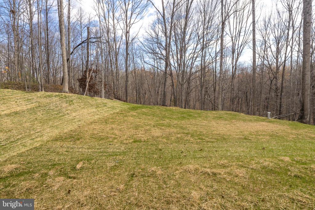 11117 EGGBORNSVILLE RD, RIXEYVILLE, Virginia 22737, 4 Bedrooms Bedrooms, ,3 BathroomsBathrooms,Residential,11117 EGGBORNSVILLE RD,VACU2013220 MLS # VACU2013220