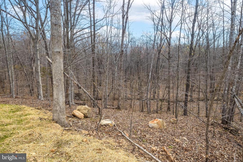 11117 EGGBORNSVILLE RD, RIXEYVILLE, Virginia 22737, 4 Bedrooms Bedrooms, ,3 BathroomsBathrooms,Residential,11117 EGGBORNSVILLE RD,VACU2013220 MLS # VACU2013220