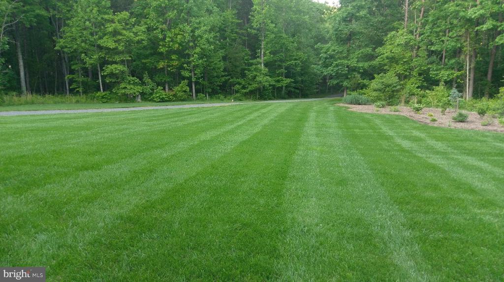 19388 MANOR DR, CULPEPER, Virginia 22701, 4 Bedrooms Bedrooms, ,3 BathroomsBathrooms,Residential,19388 MANOR DR,VACU2013222 MLS # VACU2013222 19388 MANOR DR, CULPEPER, Virginia 22701, 4 Bedrooms Bedrooms, ,3 BathroomsBathrooms,Residential,19388 MANOR DR,VACU2013222 MLS # VACU2013222