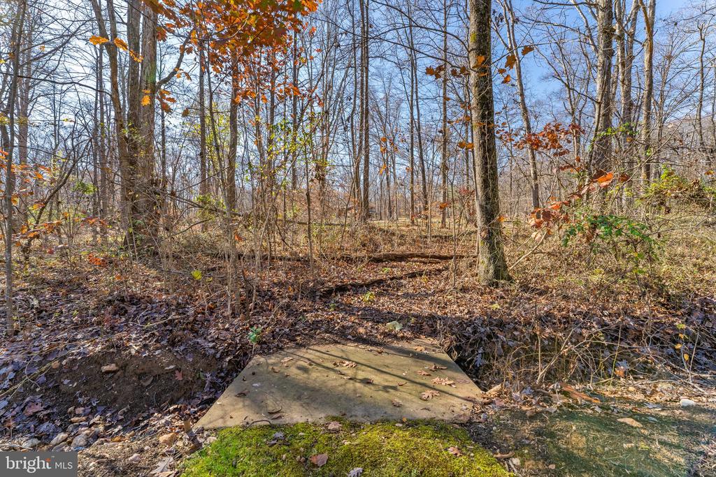 19388 MANOR DR, CULPEPER, Virginia 22701, 4 Bedrooms Bedrooms, ,3 BathroomsBathrooms,Residential,19388 MANOR DR,VACU2013222 MLS # VACU2013222 19388 MANOR DR, CULPEPER, Virginia 22701, 4 Bedrooms Bedrooms, ,3 BathroomsBathrooms,Residential,19388 MANOR DR,VACU2013222 MLS # VACU2013222