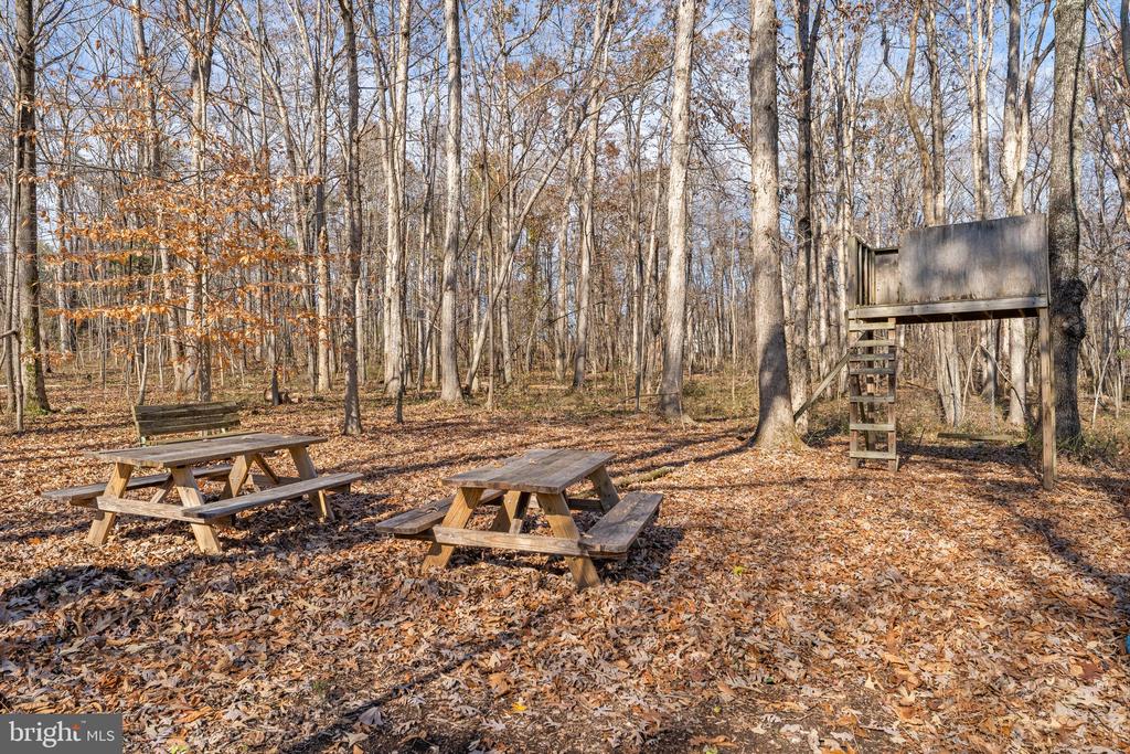 19388 MANOR DR, CULPEPER, Virginia 22701, 4 Bedrooms Bedrooms, ,3 BathroomsBathrooms,Residential,19388 MANOR DR,VACU2013222 MLS # VACU2013222 19388 MANOR DR, CULPEPER, Virginia 22701, 4 Bedrooms Bedrooms, ,3 BathroomsBathrooms,Residential,19388 MANOR DR,VACU2013222 MLS # VACU2013222