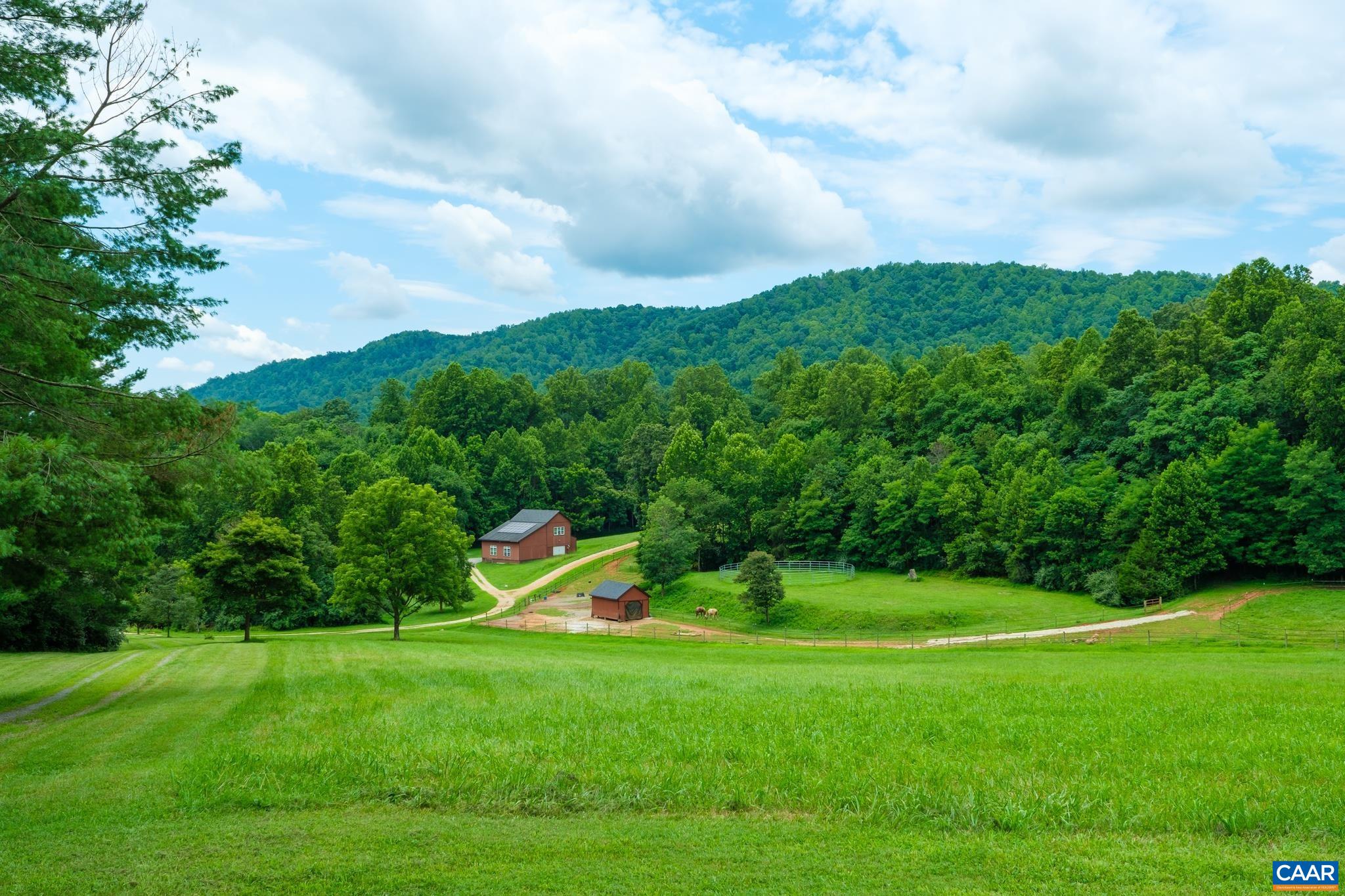 1165 FORTUNES COVE LN, LOVINGSTON, Virginia 22949, 3 Bedrooms Bedrooms, ,3 BathroomsBathrooms,Residential,1165 FORTUNES COVE LN,675330 MLS # 675330 1165 FORTUNES COVE LN, LOVINGSTON, Virginia 22949, 3 Bedrooms Bedrooms, ,3 BathroomsBathrooms,Residential,1165 FORTUNES COVE LN,675330 MLS # 675330