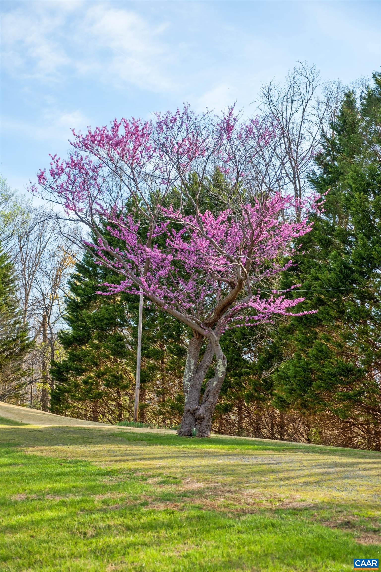 1165 FORTUNES COVE LN, LOVINGSTON, Virginia 22949, 3 Bedrooms Bedrooms, ,3 BathroomsBathrooms,Residential,1165 FORTUNES COVE LN,675330 MLS # 675330 1165 FORTUNES COVE LN, LOVINGSTON, Virginia 22949, 3 Bedrooms Bedrooms, ,3 BathroomsBathrooms,Residential,1165 FORTUNES COVE LN,675330 MLS # 675330