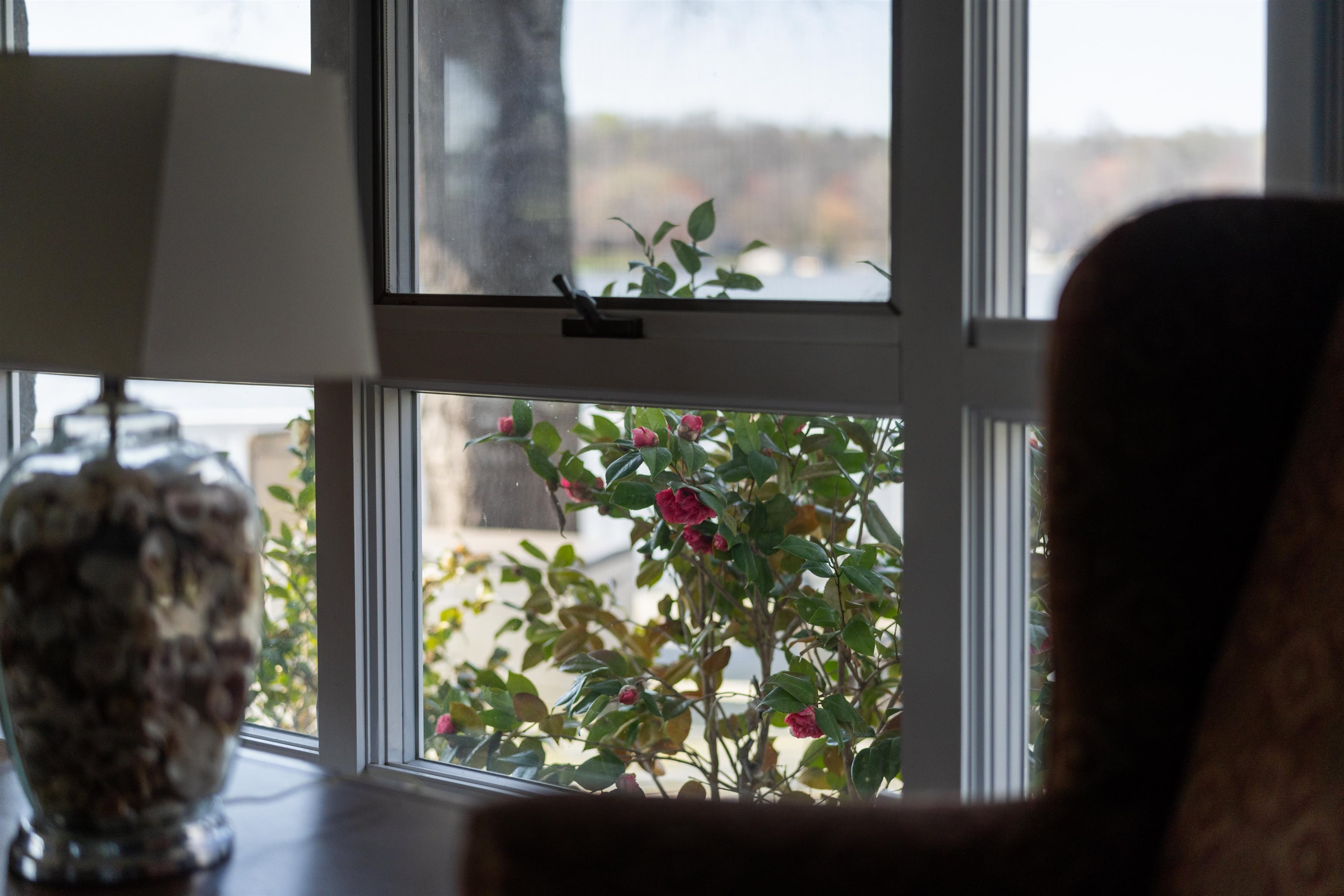 1743 N LAKESHORE DR, LOUISA, Virginia 23093, 5 Bedrooms Bedrooms, ,3 BathroomsBathrooms,Residential,1743 N LAKESHORE DR,675336 MLS # 675336