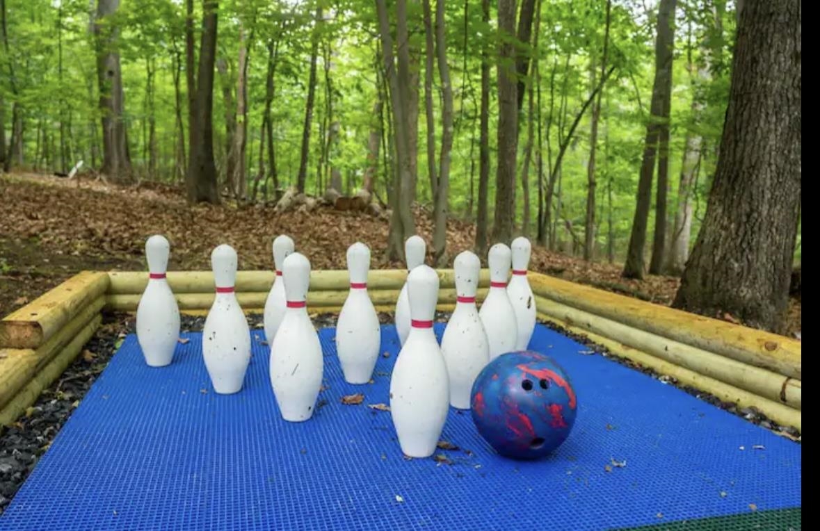 113 PINEY LN, MCGAHEYSVILLE, Virginia 22840, 3 Bedrooms Bedrooms, ,2 BathroomsBathrooms,Residential,113 PINEY LN,675340 MLS # 675340