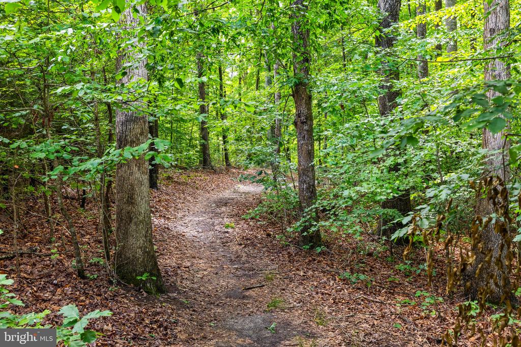 10910 CINNAMON TEAL DR, SPOTSYLVANIA, Virginia 22553, 5 Bedrooms Bedrooms, ,3 BathroomsBathrooms,Residential,10910 CINNAMON TEAL DR,VASP2040378 MLS # VASP2040378 10910 CINNAMON TEAL DR, SPOTSYLVANIA, Virginia 22553, 5 Bedrooms Bedrooms, ,3 BathroomsBathrooms,Residential,10910 CINNAMON TEAL DR,VASP2040378 MLS # VASP2040378