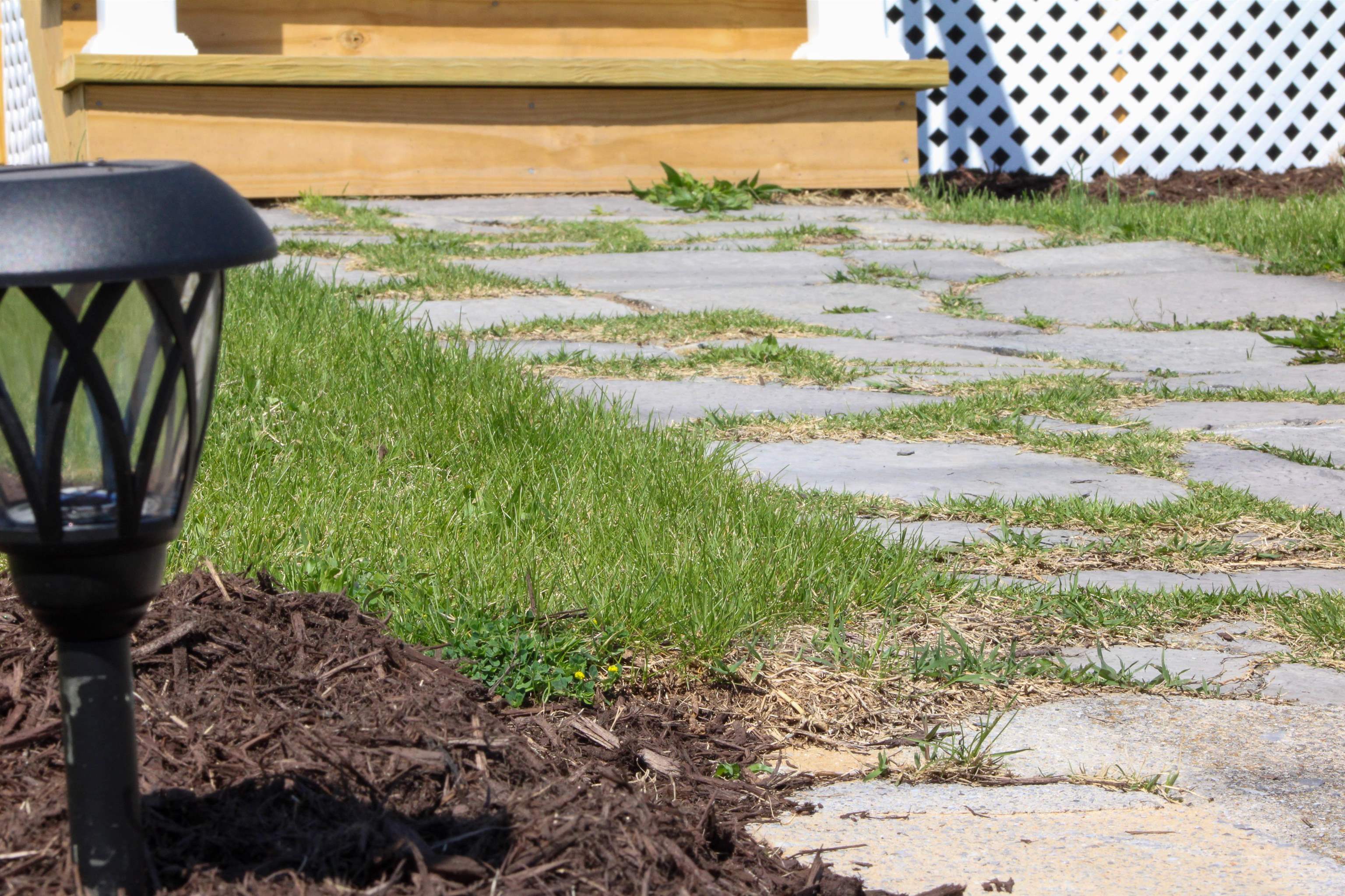 128 S WAVERLEY ST, STAUNTON, Virginia 24401, 4 Bedrooms Bedrooms, ,2 BathroomsBathrooms,Residential,128 S WAVERLEY ST,675347 MLS # 675347 128 S WAVERLEY ST, STAUNTON, Virginia 24401, 4 Bedrooms Bedrooms, ,2 BathroomsBathrooms,Residential,128 S WAVERLEY ST,675347 MLS # 675347