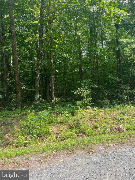 631 HAWK CIR, LOCUST DALE, Virginia 22948, ,Land,631 HAWK CIR,VAMA2002678 MLS # VAMA2002678