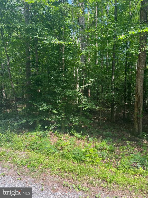 631 HAWK CIR, LOCUST DALE, Virginia 22948, ,Land,631 HAWK CIR,VAMA2002678 MLS # VAMA2002678