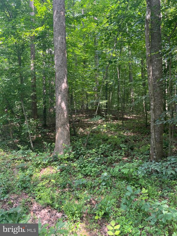 631 HAWK CIR, LOCUST DALE, Virginia 22948, ,Land,631 HAWK CIR,VAMA2002678 MLS # VAMA2002678